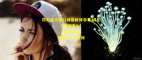 стафф Баксан