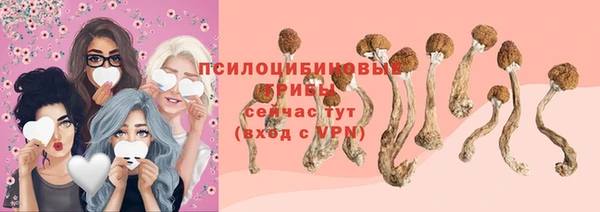 стафф Баксан