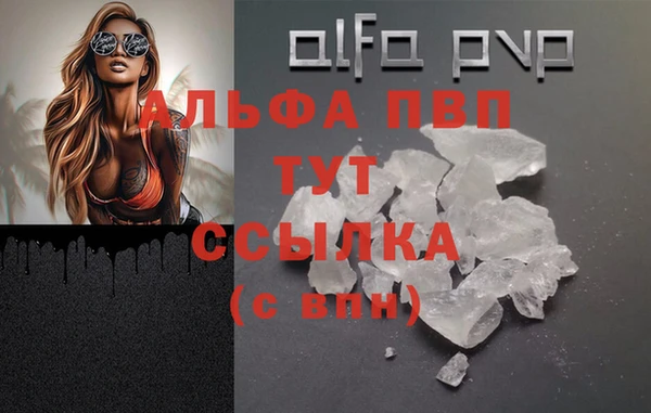 стафф Баксан