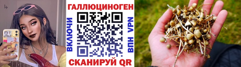 Псилоцибиновые грибы MAGIC MUSHROOMS  купить закладку  Новый Уренгой 