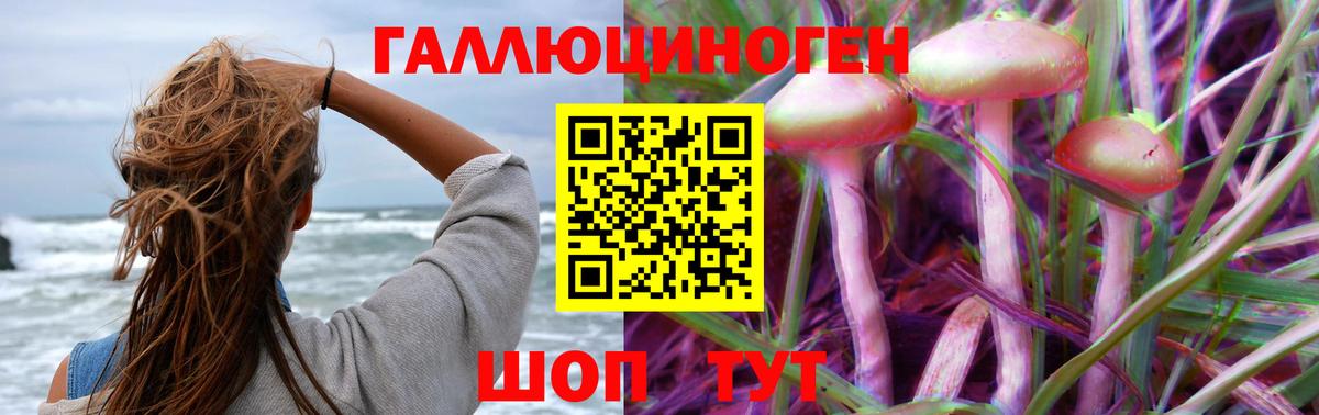 Псилоцибиновые грибы Psilocybine cubensis Новый Уренгой